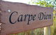 Carpe Diem - thumb 10