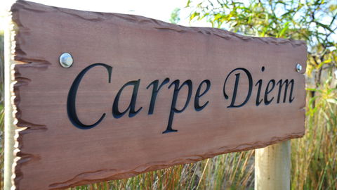 Carpe Diem - QLD Tourism 10