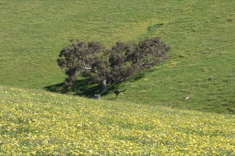 Morella Farm Stay - QLD Tourism 9