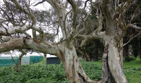 Morella Farm Stay - QLD Tourism 10