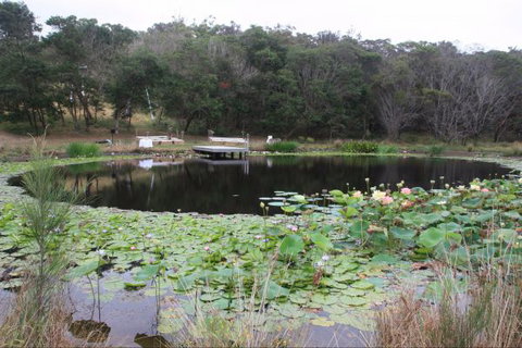 Murrah Luxury Holiday Accommodation - Queensland Tourism 8