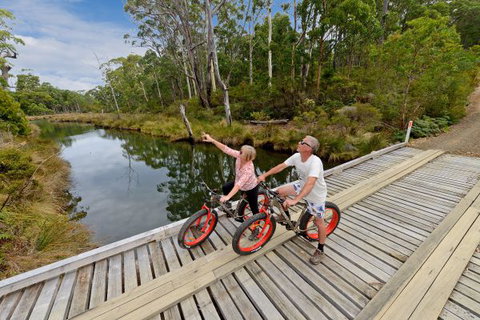 Saintys Creek Cottage - QLD Tourism 6