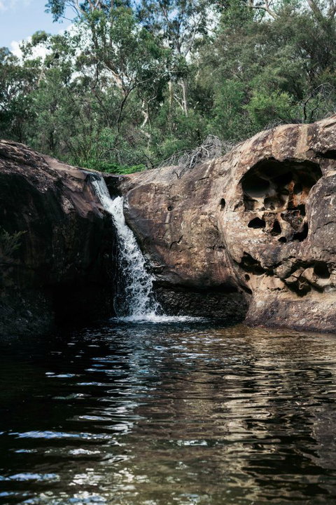 Werriberri - Queensland Tourism 1