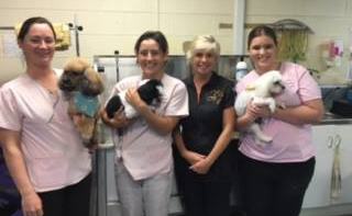 Maraboon Pet Resort - Queensland Tourism 2