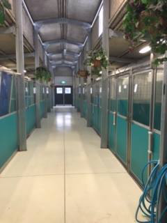 Maraboon Pet Resort - Queensland Tourism 3