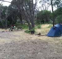 Allports Beach Camping Ground - QLD Tourism