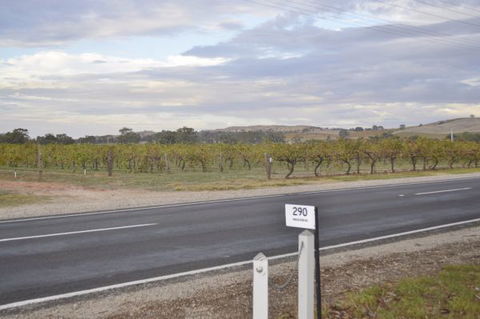 Almond Tree Cottage - QLD Tourism 5