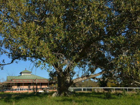 Cairnsmore Bed And Breakfast - Queensland Tourism 7