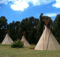 Kinglake Forest Adventures Camp - QLD Tourism