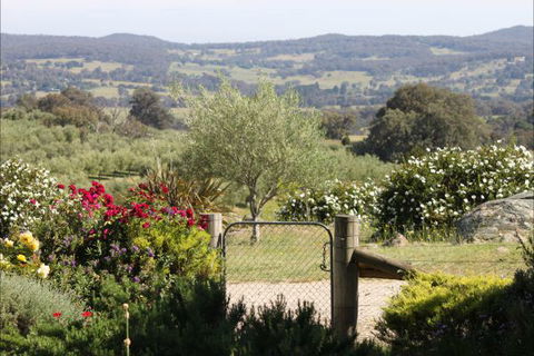 L'Oliveraie - QLD Tourism 1
