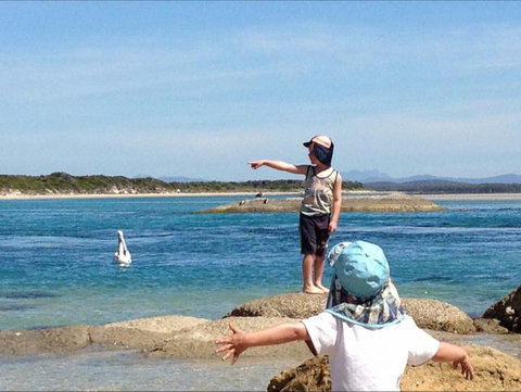 North East River Camping Ground - QLD Tourism 0