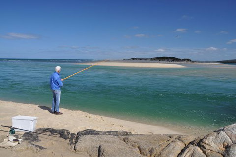North East River Camping Ground - QLD Tourism 4