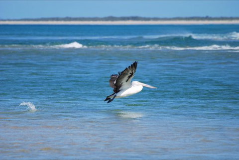 North East River Camping Ground - QLD Tourism 5