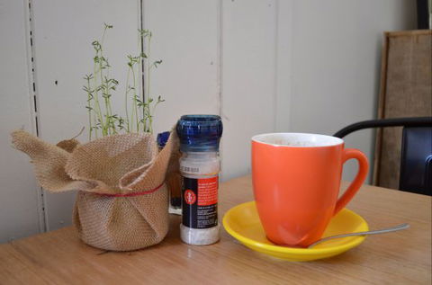 Otway Central - Queensland Tourism 3