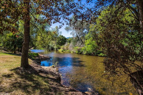 Porepunkah Bridge Holiday Park - Queensland Tourism 5