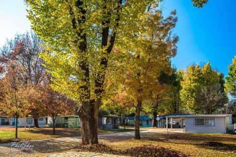 Porepunkah Bridge Holiday Park - Queensland Tourism 8