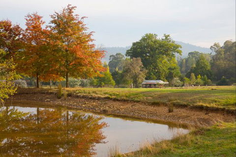Riverdowns - Queensland Tourism 9