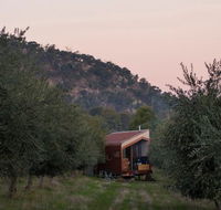 Shacky in the Olive Grove - QLD Tourism