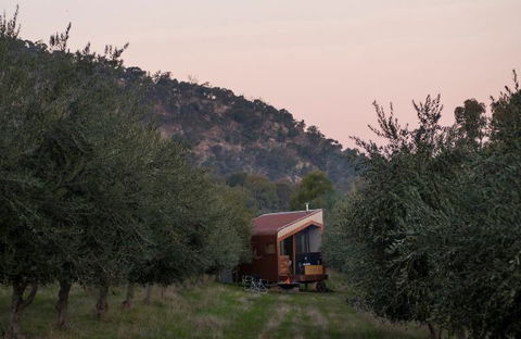 Shacky In The Olive Grove - QLD Tourism 0