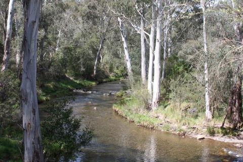 Stockyard Creek - Queensland Tourism 2