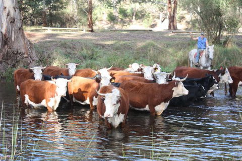 Stockyard Creek - Queensland Tourism 3