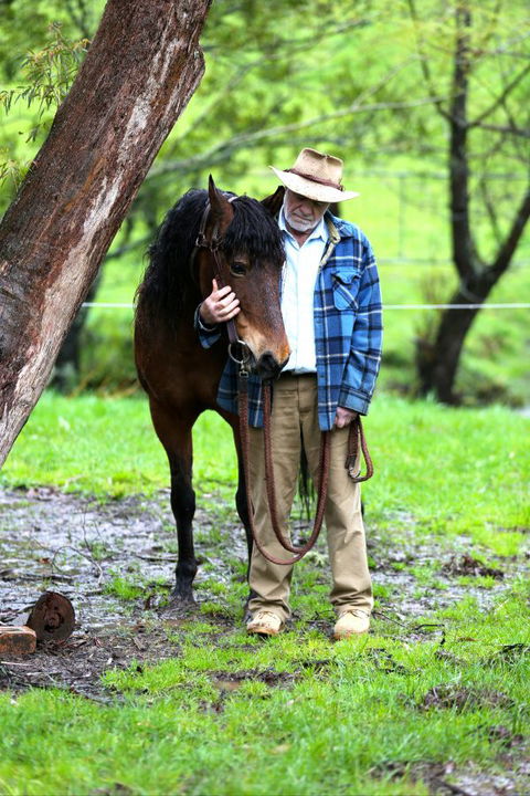Stockyard Creek - Queensland Tourism 4