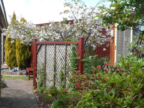 Tidelines Of Bicheno - Queensland Tourism 9