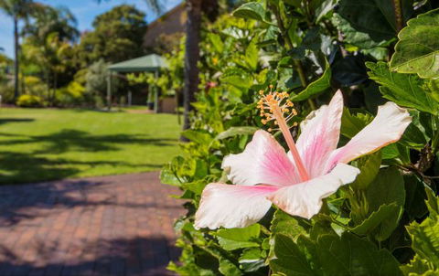 Tuscany Apartments - Queensland Tourism 6