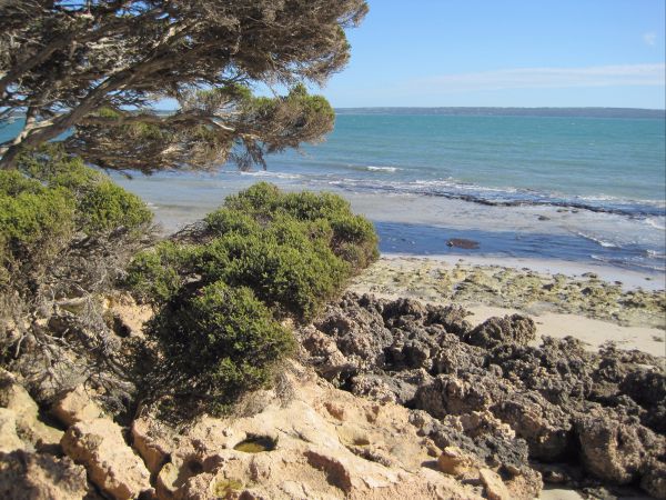 Browns Beach SA QLD Tourism