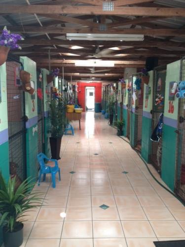 Hillcrest Pet Resort - QLD Tourism 0