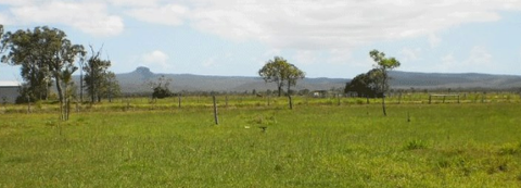 Ilbilbie Motel - QLD Tourism 0
