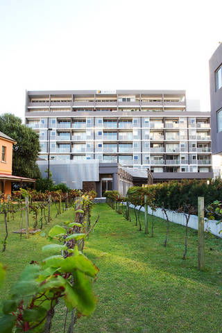 B7 Honeysuckle Apartments - QLD Tourism 1