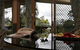 BIG4 Forest Glen Holiday Resort - thumb 1
