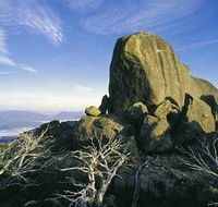 Big4 Taunton Farm Holiday Park - QLD Tourism