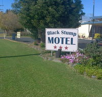 Coolah Black Stump Motel - QLD Tourism