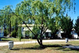  QLD Tourism
