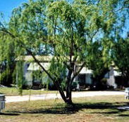 Blue Topaz Caravan Park  Camping Ground - QLD Tourism