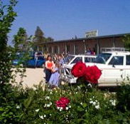 Boerbuck Country Motel  Host Farm - QLD Tourism