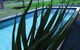 Boonah Motel - thumb 1