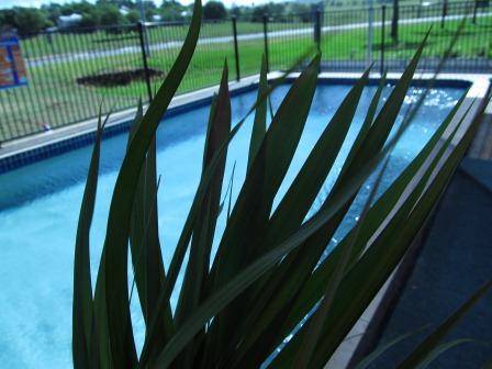 Boonah Motel - QLD Tourism 1