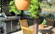 Boonah Motel - thumb 0