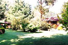  QLD Tourism