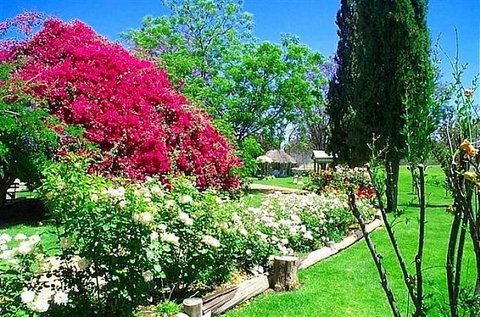 Bourke Riverside Motel - QLD Tourism 1