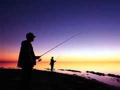 Budgewoi Holiday Park - QLD Tourism 2