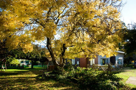 Buffalo Motel And Country Retreat - Queensland Tourism 5