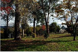 Buffalo Motel And Country Retreat - Queensland Tourism 8