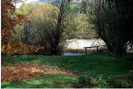 Buffalo Motel And Country Retreat - Queensland Tourism 9