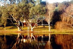 Bushy Lake Chalets - QLD Tourism 1