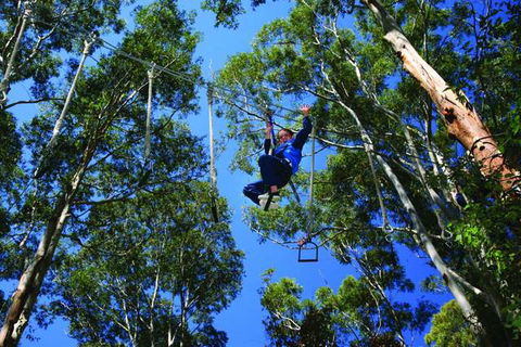 Cedar Creek Lodges At Thunderbird Park™ - QLD Tourism 2