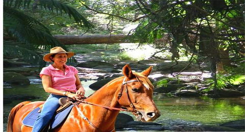 Cedar Creek Lodges At Thunderbird Park™ - QLD Tourism 7